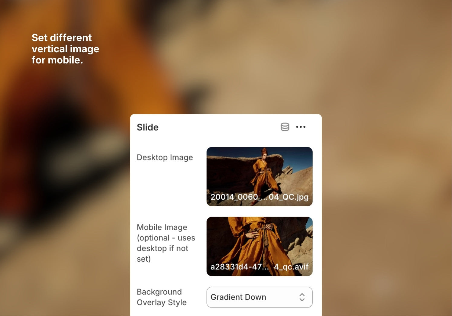 Advanced Slideshow Banner for Shopify 2.0